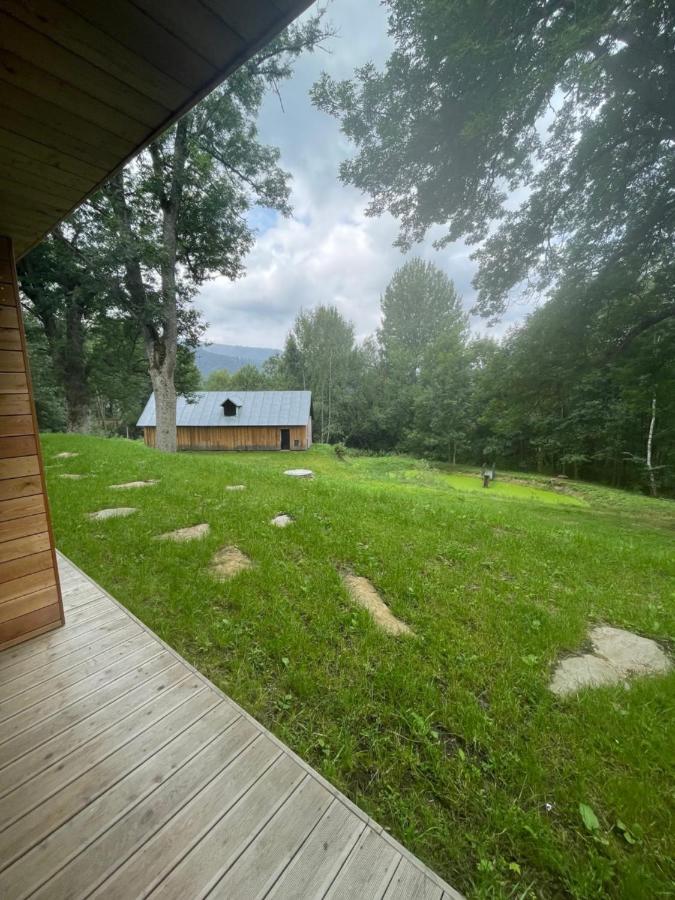 Apartman Pod Jasanem Hojsova Straz Brcalnik Apartment Zelezna Ruda Exterior photo
